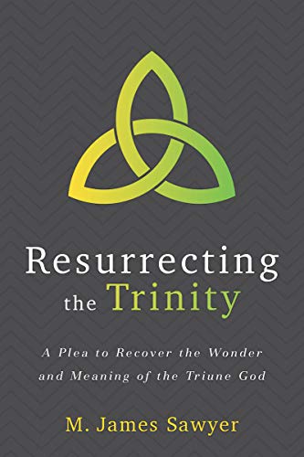 Book cover for Resurrecting the Trinity